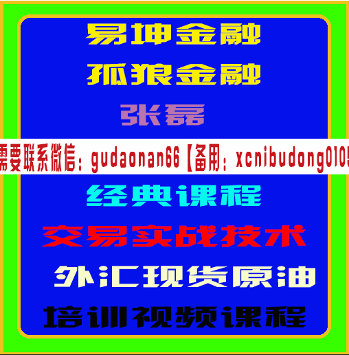 易坤金融孤狼张磊天人合一经典课程论交易实战技术外汇原油期货培训视频