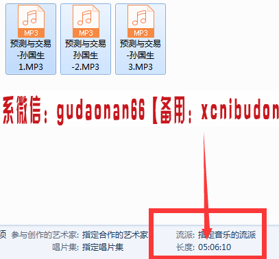 孙国生预测与交易线下高清录音5小时