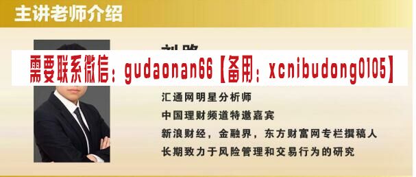 邵悦华高概率核心基础课外汇黄金交易视频课程