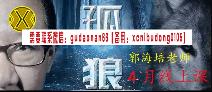 郭海培2021年战狼孤狼视频课程