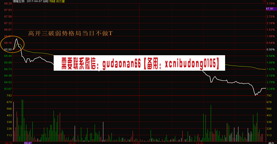 南松 2021年 分时图技巧 t＋0 升级版视频课程