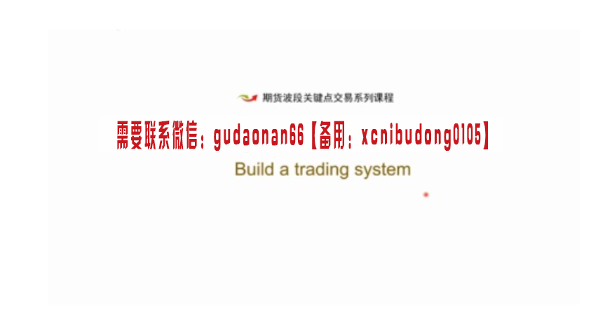 西安大金融家蒲晓伟第四期2021年波段交易线下培训视频课程