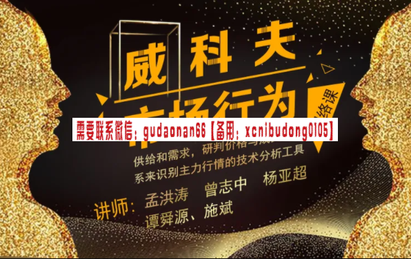 孟洪涛团队 威科夫市场行为基础网络训练营 视频课程