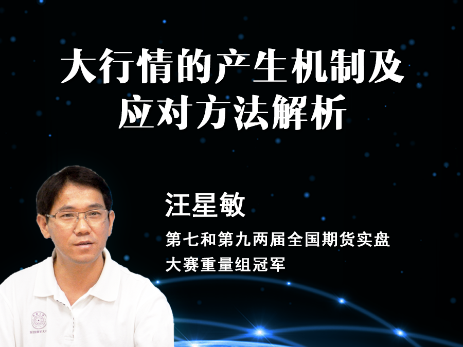 汪星敏 大行情的产生机制及应对方法解析 录音课程